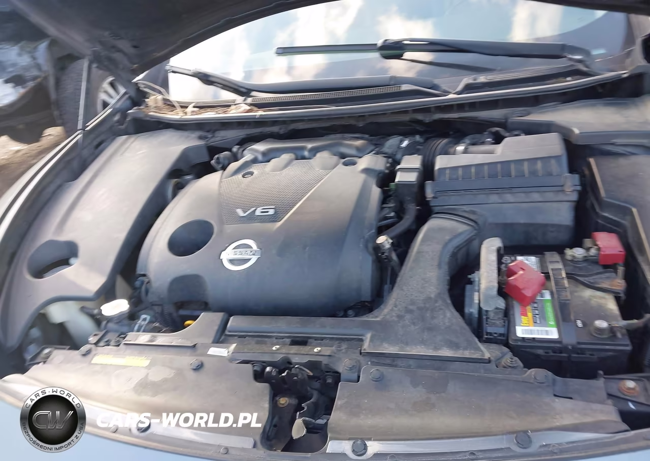 2014 Nissan Maxima 3.5 Sv VIN:1N4AA5AP7EC456616 - 10