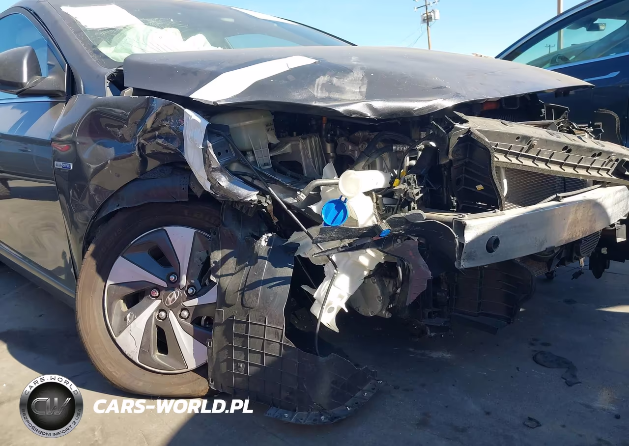 2017 Hyundai Ioniq Hybrid Sel VIN:KMHC75LCXHU057348 - 6