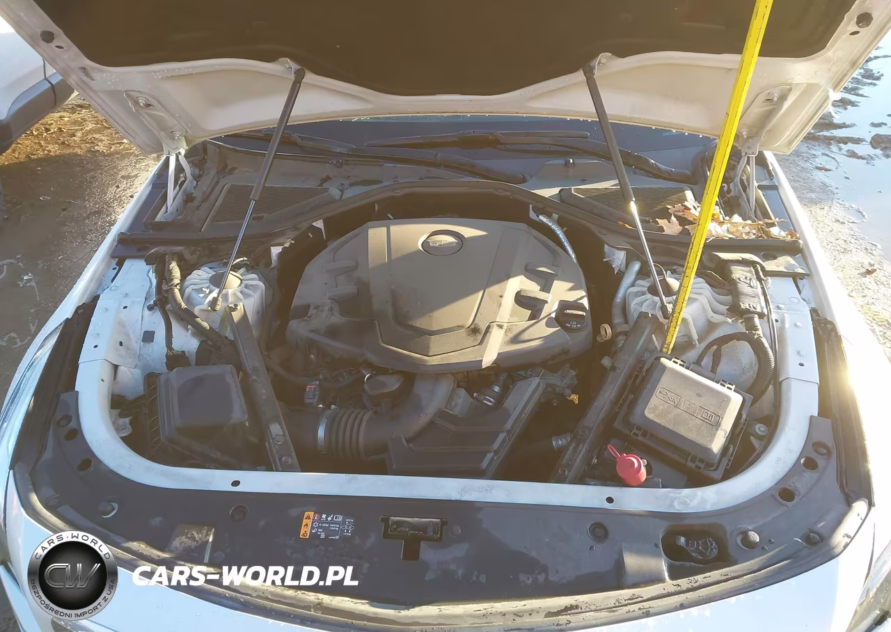 2017 Cadillac Ct6 Luxury VIN:1G6KD5RS0HU138997 - 10