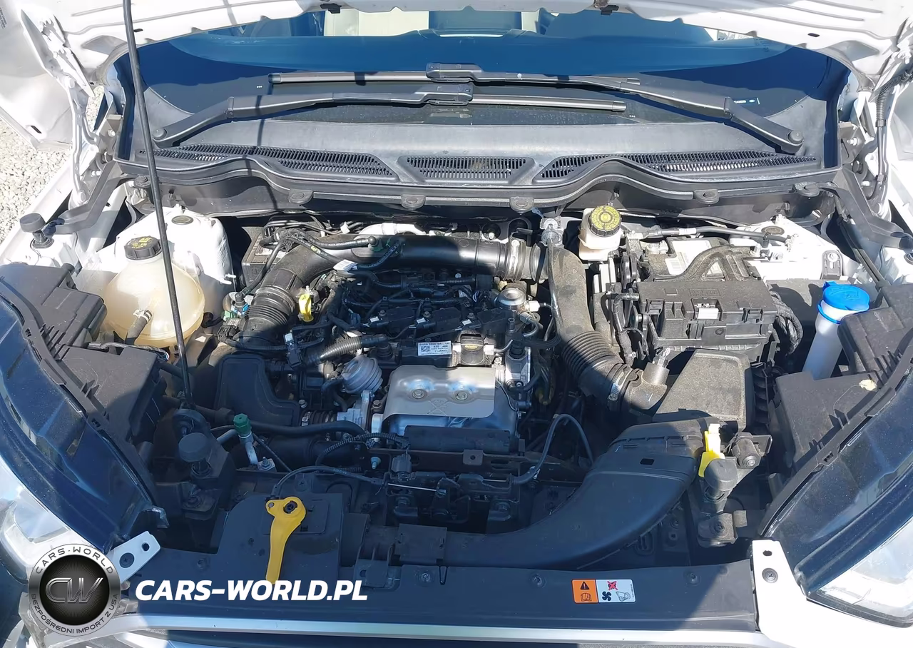 2021 Ford Ecosport Se VIN:MAJ3S2GE2MC438260 - 10