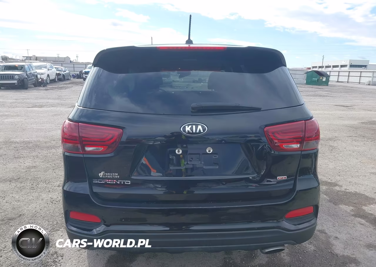 2019 Kia Sorento 2.4L Lx VIN:5XYPG4A30KG576615 - 16