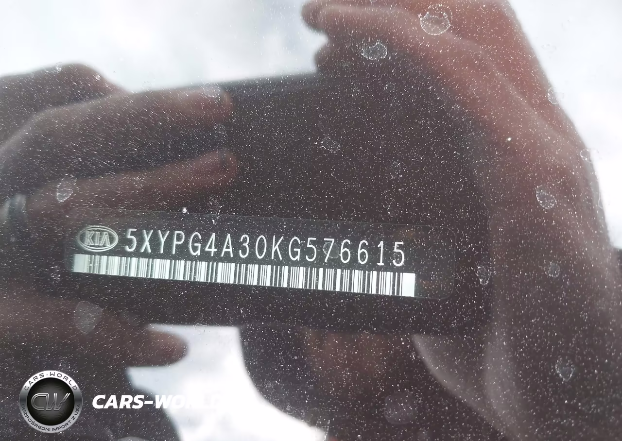 2019 Kia Sorento 2.4L Lx VIN:5XYPG4A30KG576615 - 9