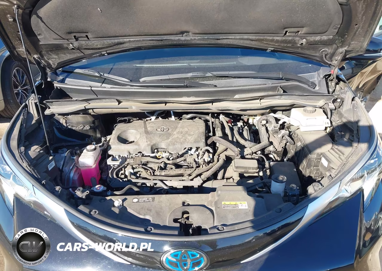 2023 Toyota Sienna Platinum VIN:5TDERKEC8PS170771 - 10