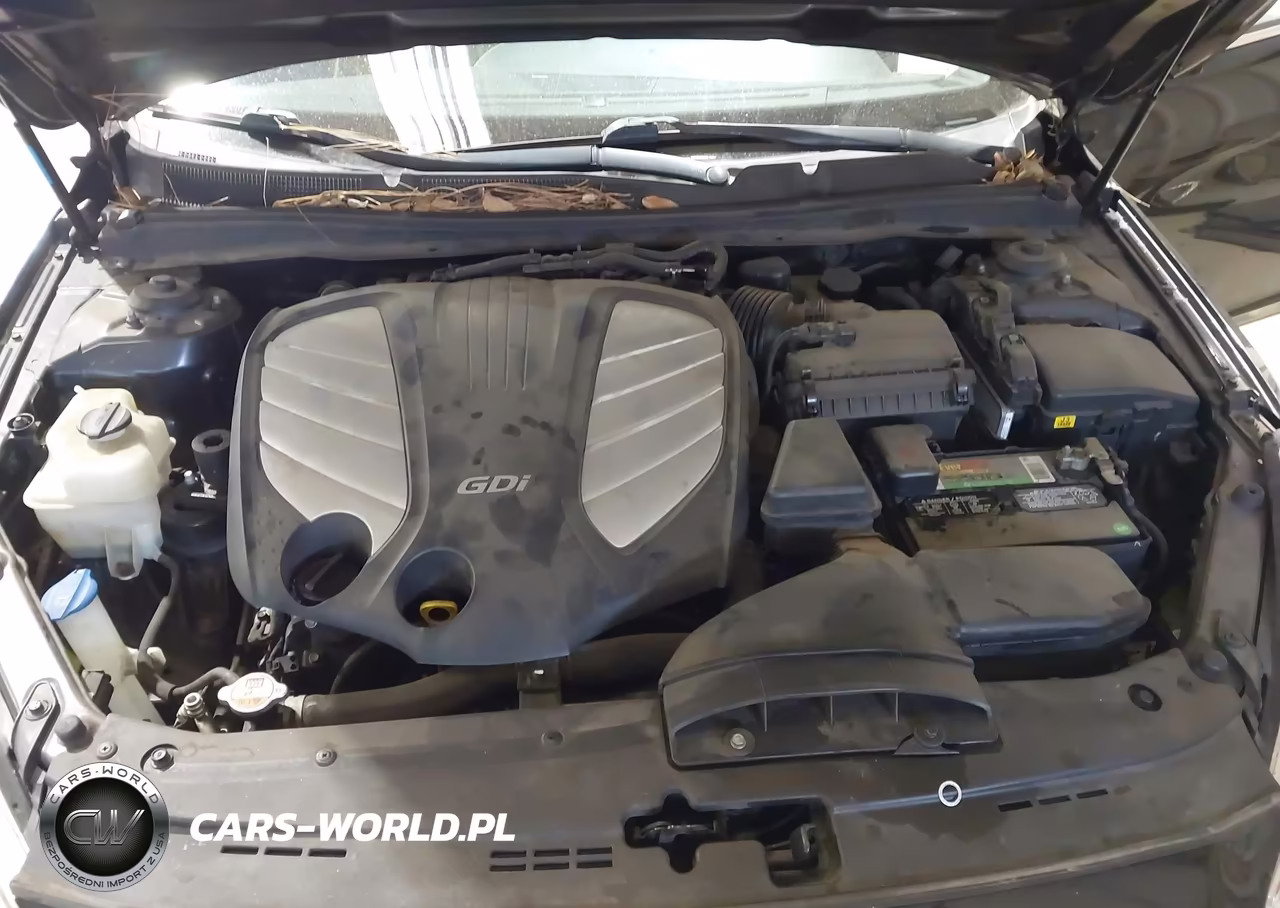 2015 Kia Cadenza Premium VIN:KNALN4D74F5168732 - 10