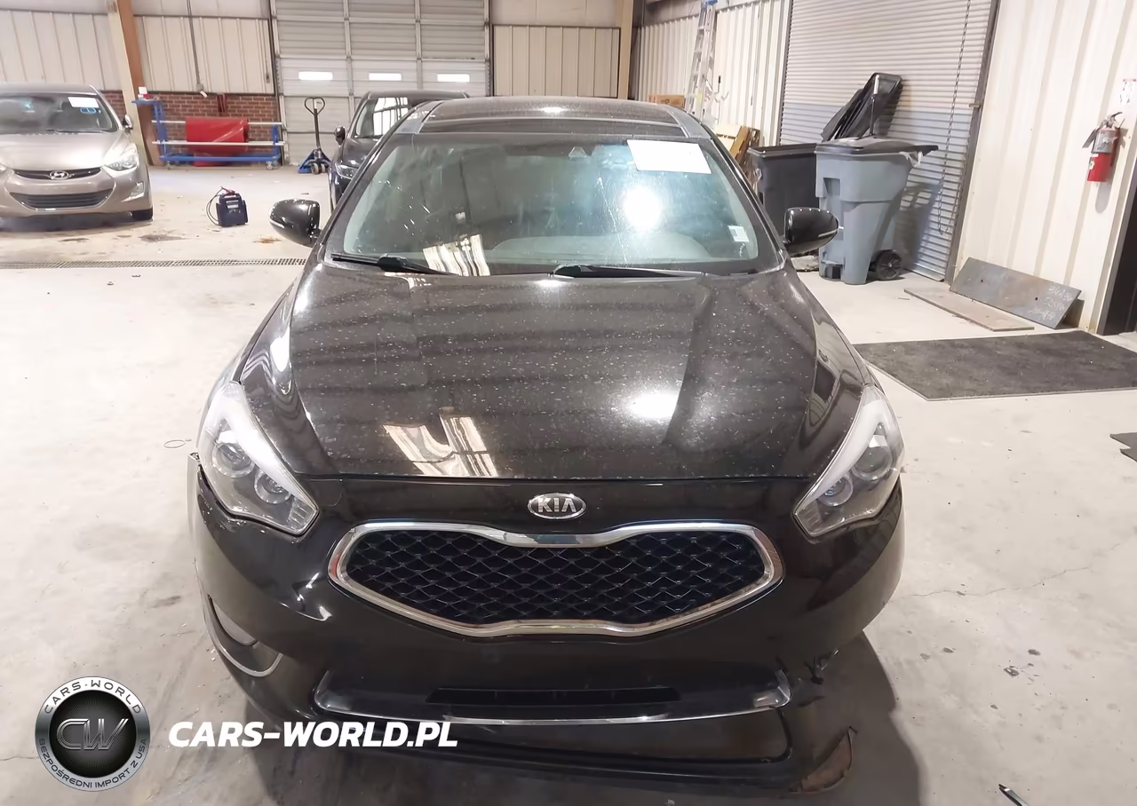 2015 Kia Cadenza Premium VIN:KNALN4D74F5168732 - 12