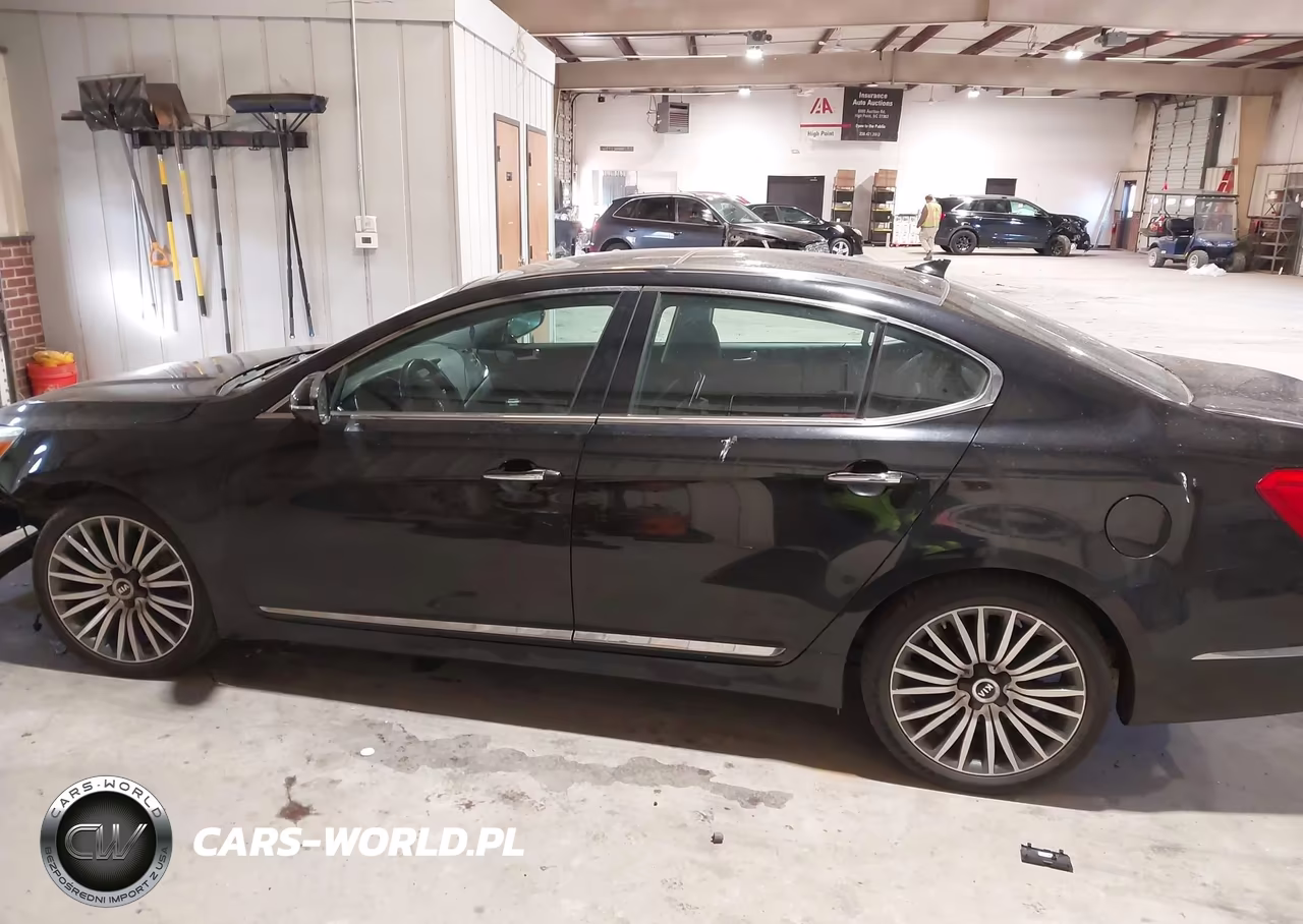 2015 Kia Cadenza Premium VIN:KNALN4D74F5168732 - 14