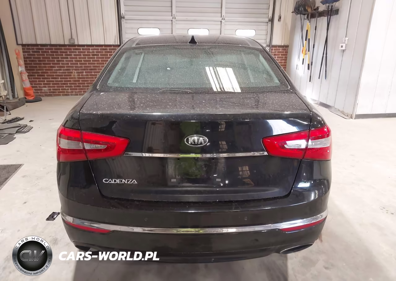 2015 Kia Cadenza Premium VIN:KNALN4D74F5168732 - 16