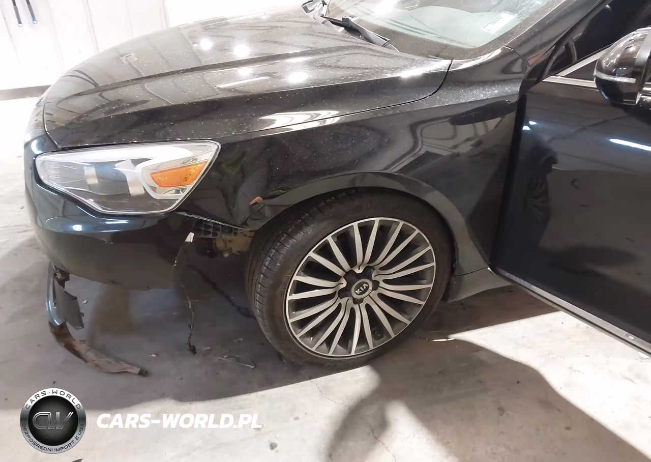 2015 Kia Cadenza Premium VIN:KNALN4D74F5168732 - 6