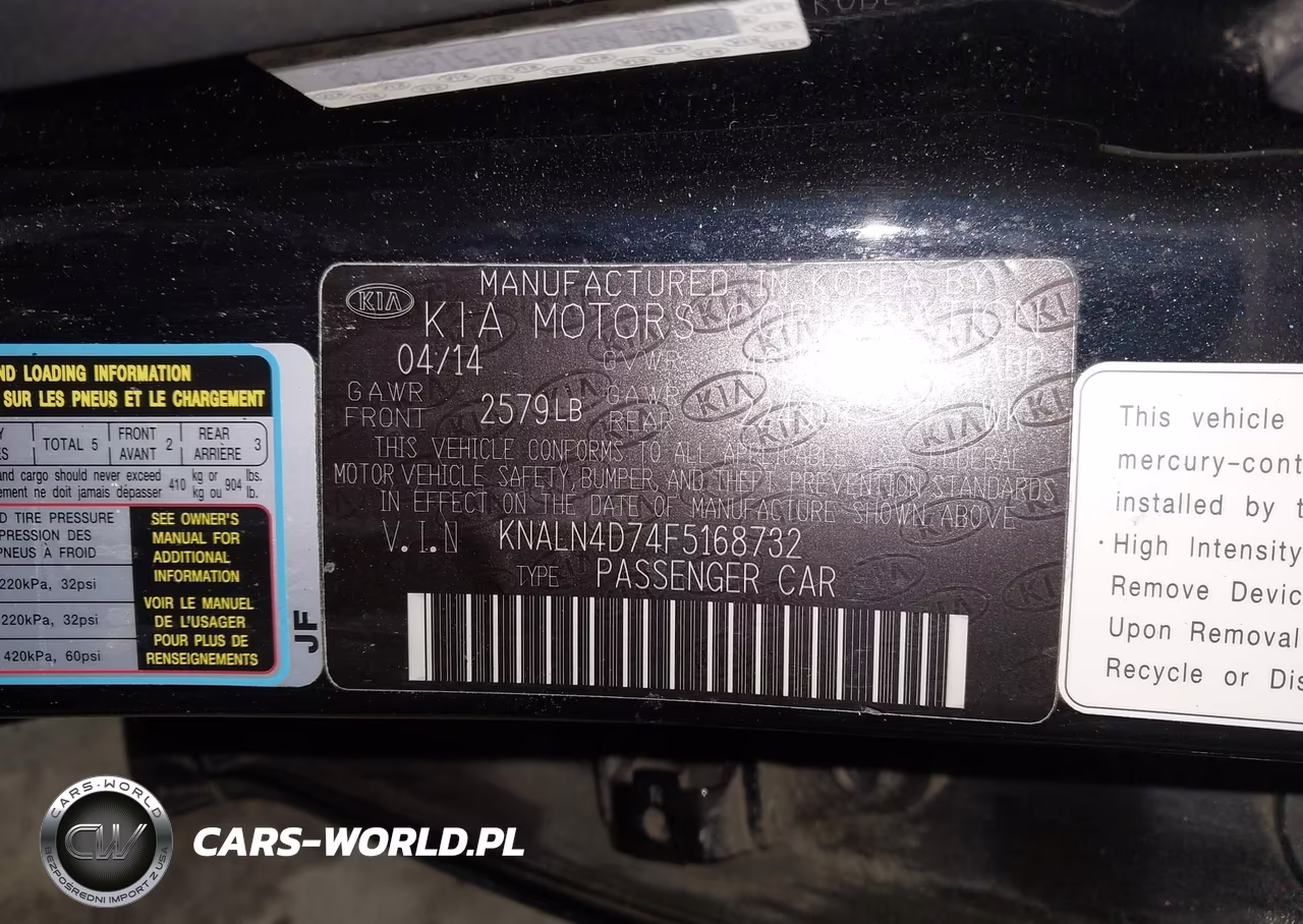 2015 Kia Cadenza Premium VIN:KNALN4D74F5168732 - 9