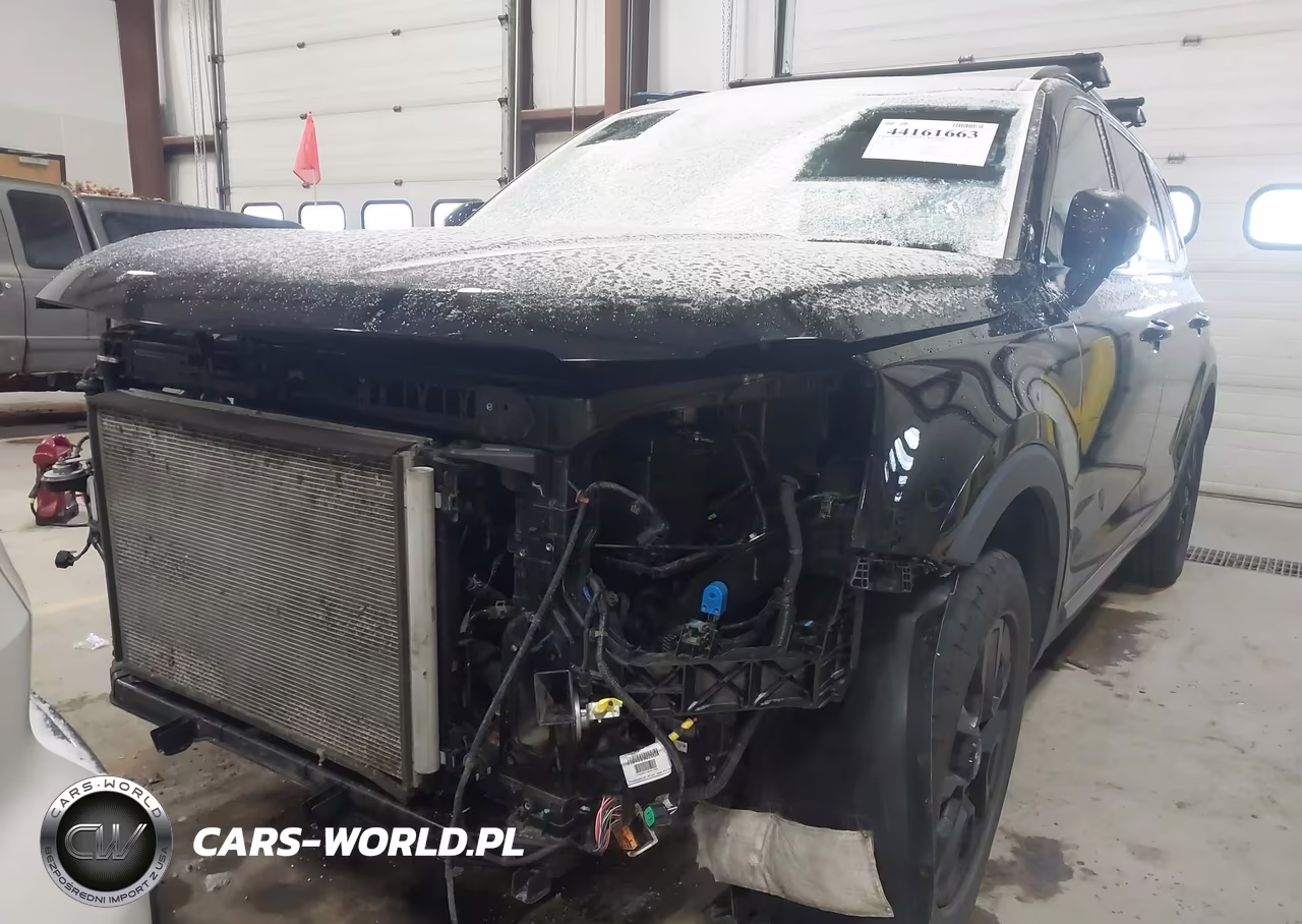 2023 Kia Telluride Sx X-Pro VIN:5XYP5DGC3PG410870 - 12