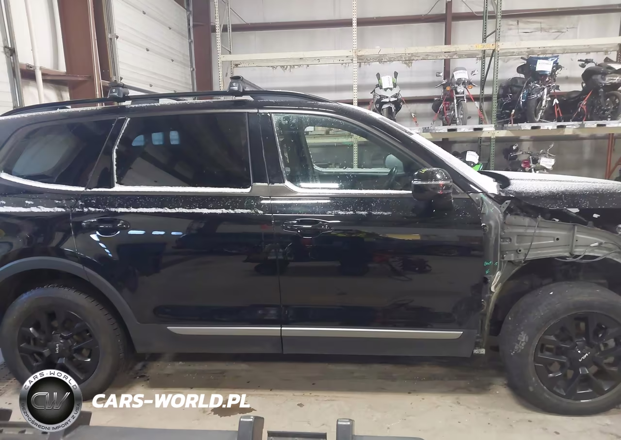 2023 Kia Telluride Sx X-Pro VIN:5XYP5DGC3PG410870 - 13