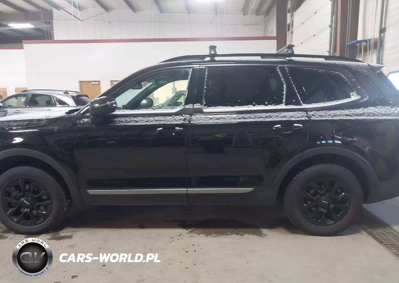 2023 Kia Telluride Sx X-Pro VIN:5XYP5DGC3PG410870 - 14