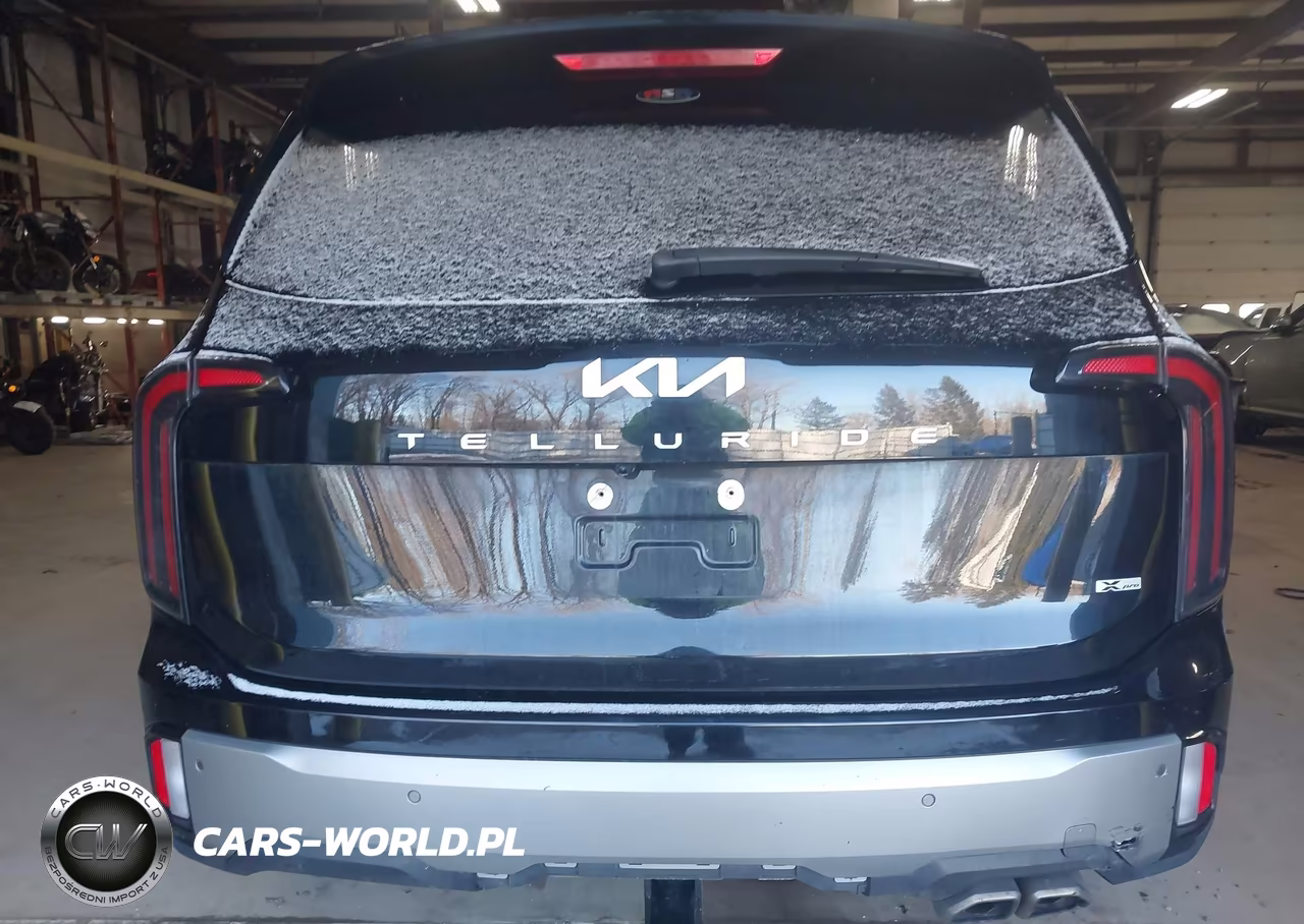 2023 Kia Telluride Sx X-Pro VIN:5XYP5DGC3PG410870 - 16