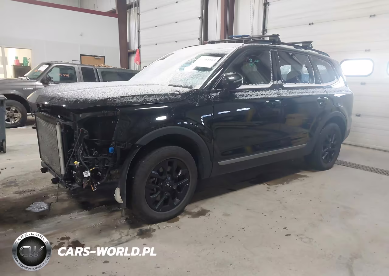 2023 Kia Telluride Sx X-Pro VIN:5XYP5DGC3PG410870 - 2