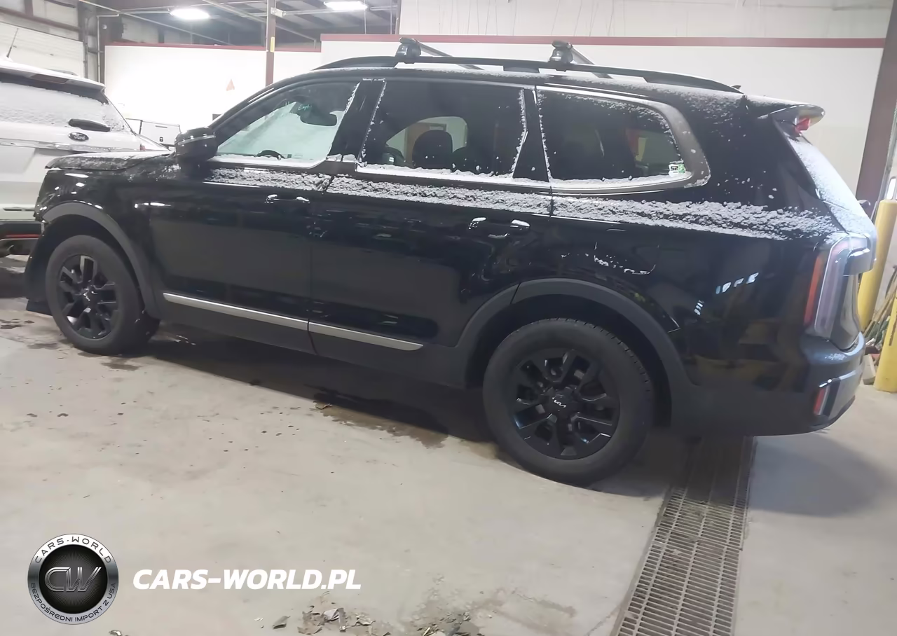 2023 Kia Telluride Sx X-Pro VIN:5XYP5DGC3PG410870 - 3
