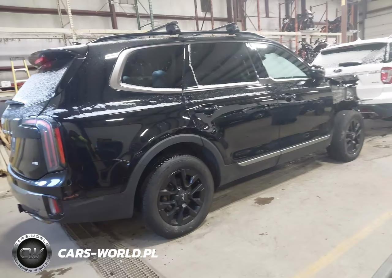 2023 Kia Telluride Sx X-Pro VIN:5XYP5DGC3PG410870 - 4