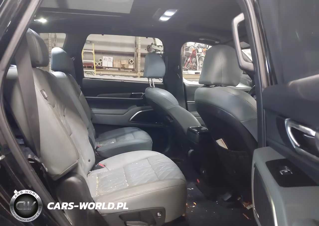 2023 Kia Telluride Sx X-Pro VIN:5XYP5DGC3PG410870 - 8