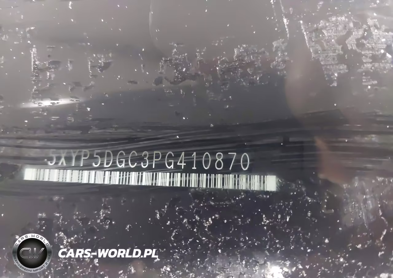 2023 Kia Telluride Sx X-Pro VIN:5XYP5DGC3PG410870 - 9