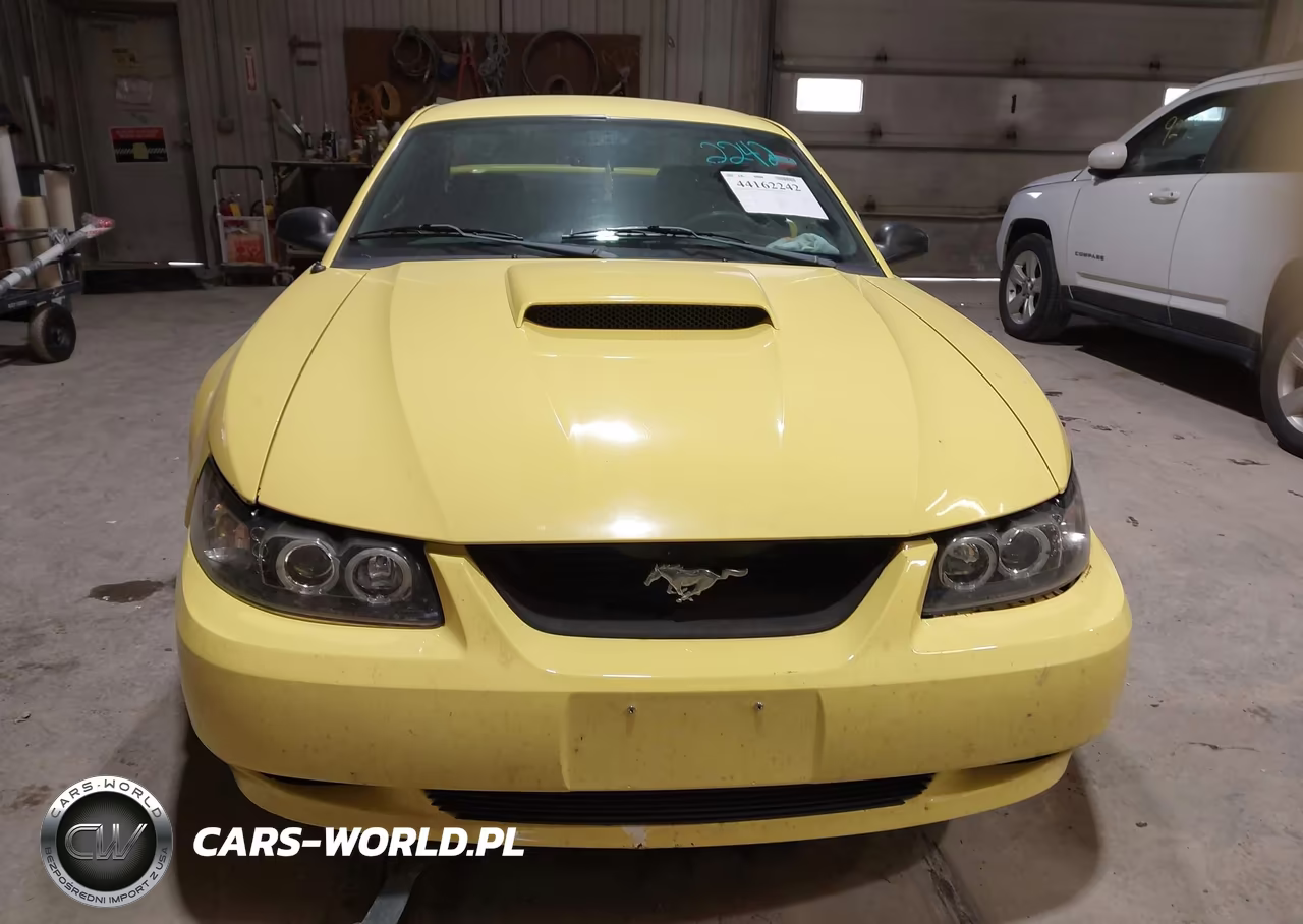 2002 Ford Mustang Gt VIN:1FAFP42X12F202987 - 12