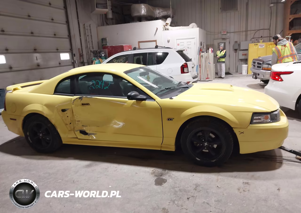 2002 Ford Mustang Gt VIN:1FAFP42X12F202987 - 13