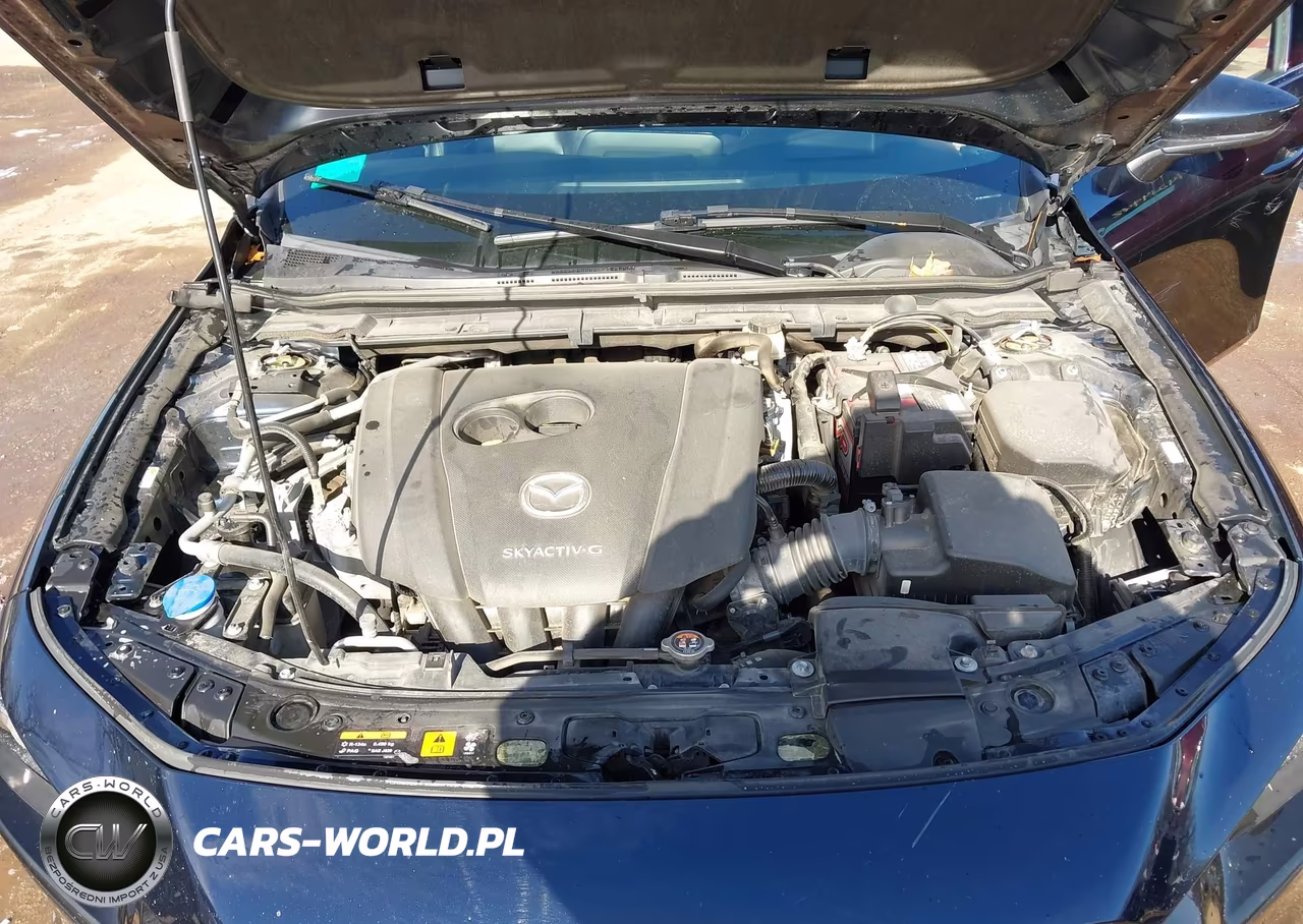 2019 Mazda 3 Preferred VIN:JM1BPAMM8K1111223 - 10