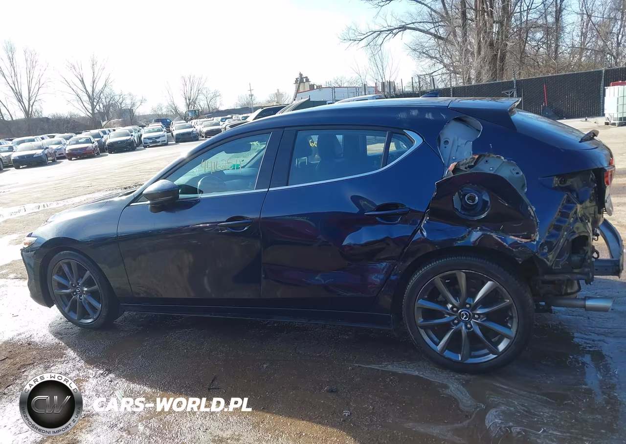 2019 Mazda 3 Preferred VIN:JM1BPAMM8K1111223 - 15