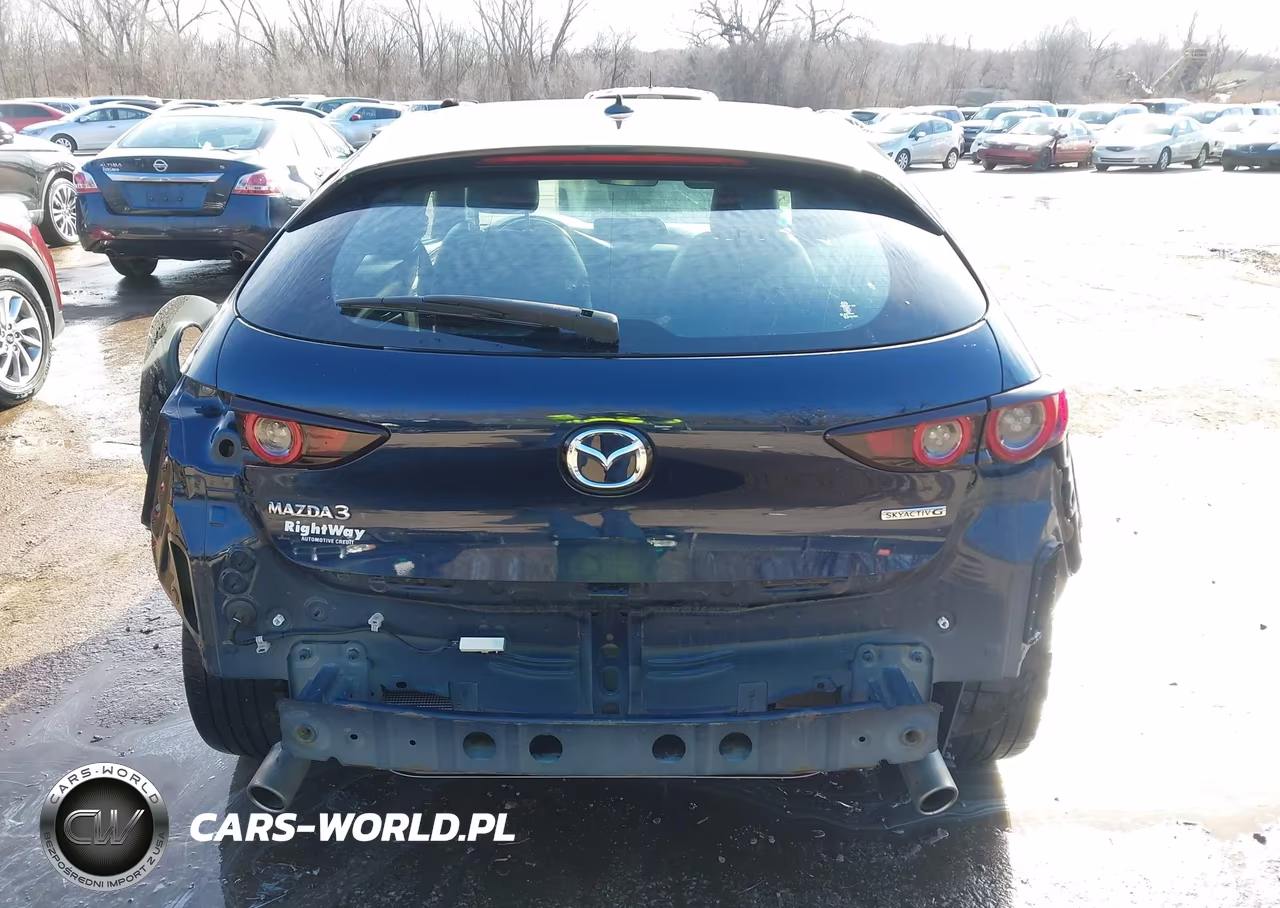 2019 Mazda 3 Preferred VIN:JM1BPAMM8K1111223 - 17