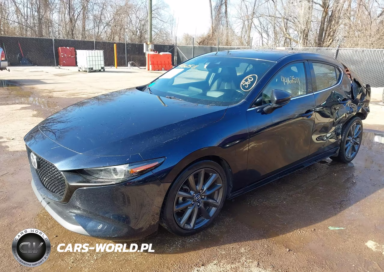2019 Mazda 3 Preferred VIN:JM1BPAMM8K1111223 - 2