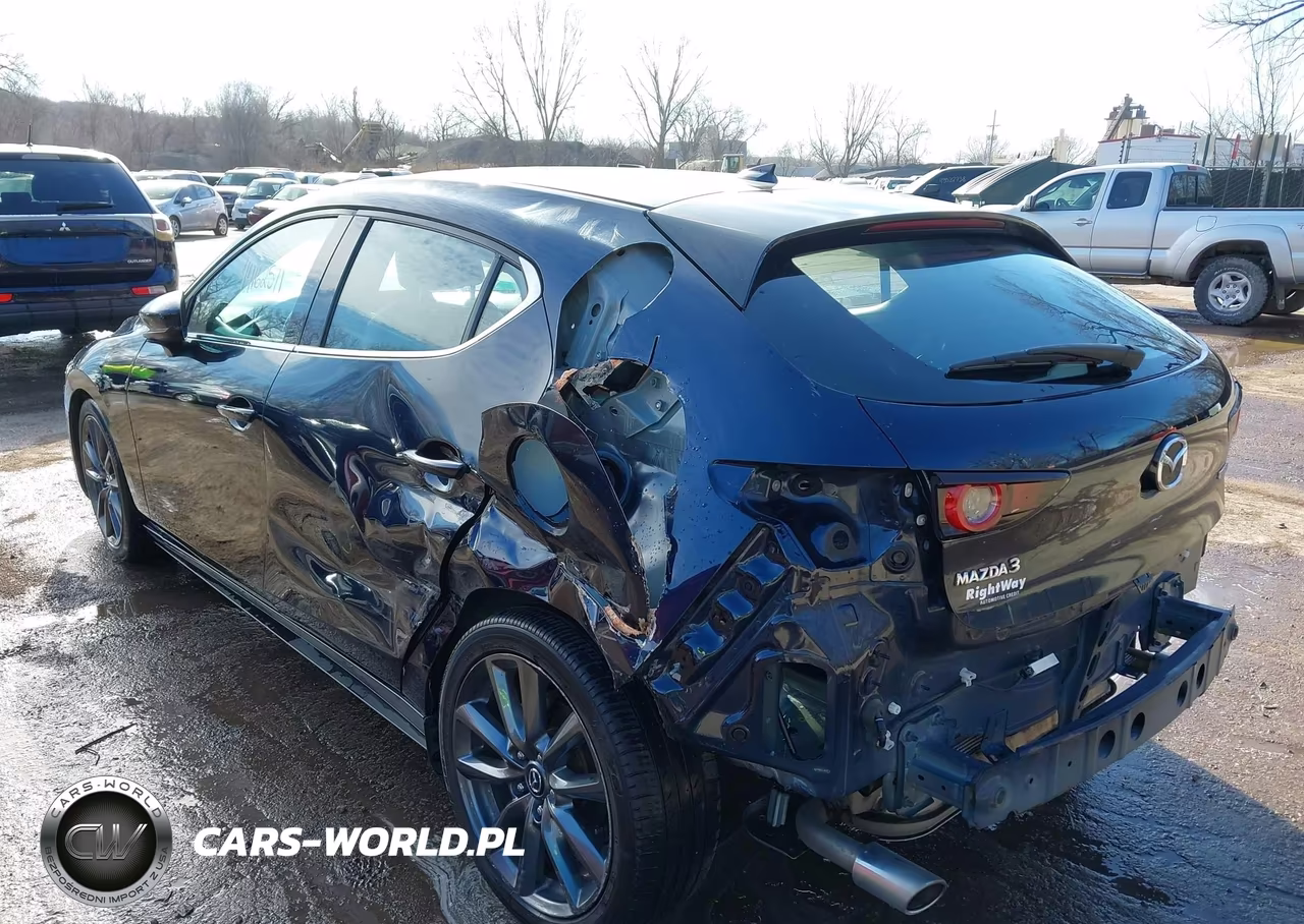 2019 Mazda 3 Preferred VIN:JM1BPAMM8K1111223 - 3