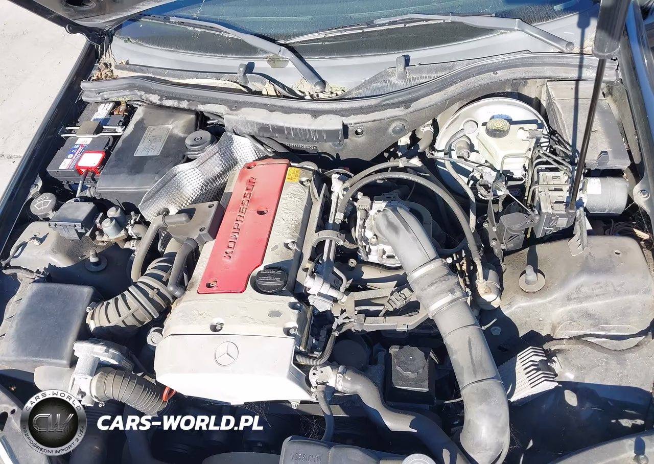 1999 Mercedes-Benz Slk 230 Kompressor VIN:WDBKK47FXXF090607 - 10