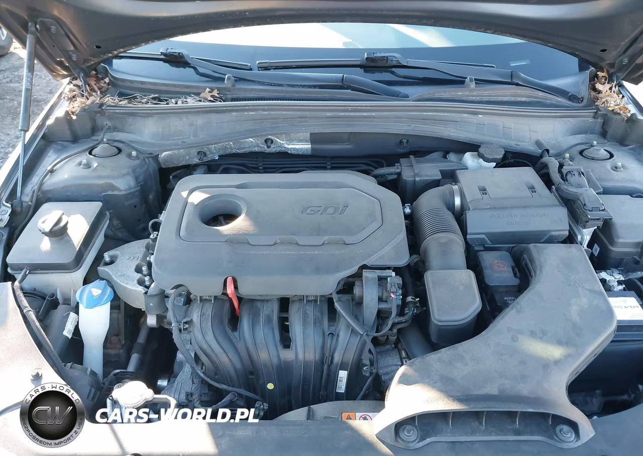 2019 Kia Optima Lx VIN:5XXGT4L36KG376271 - 10