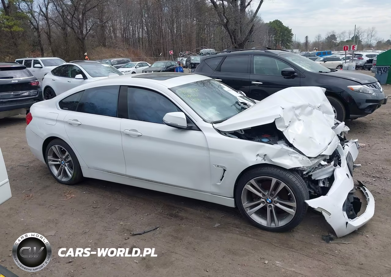 2017 BMW 430I Gran Coupe xDrive VIN:WBA4F9C39HG812908 - 13
