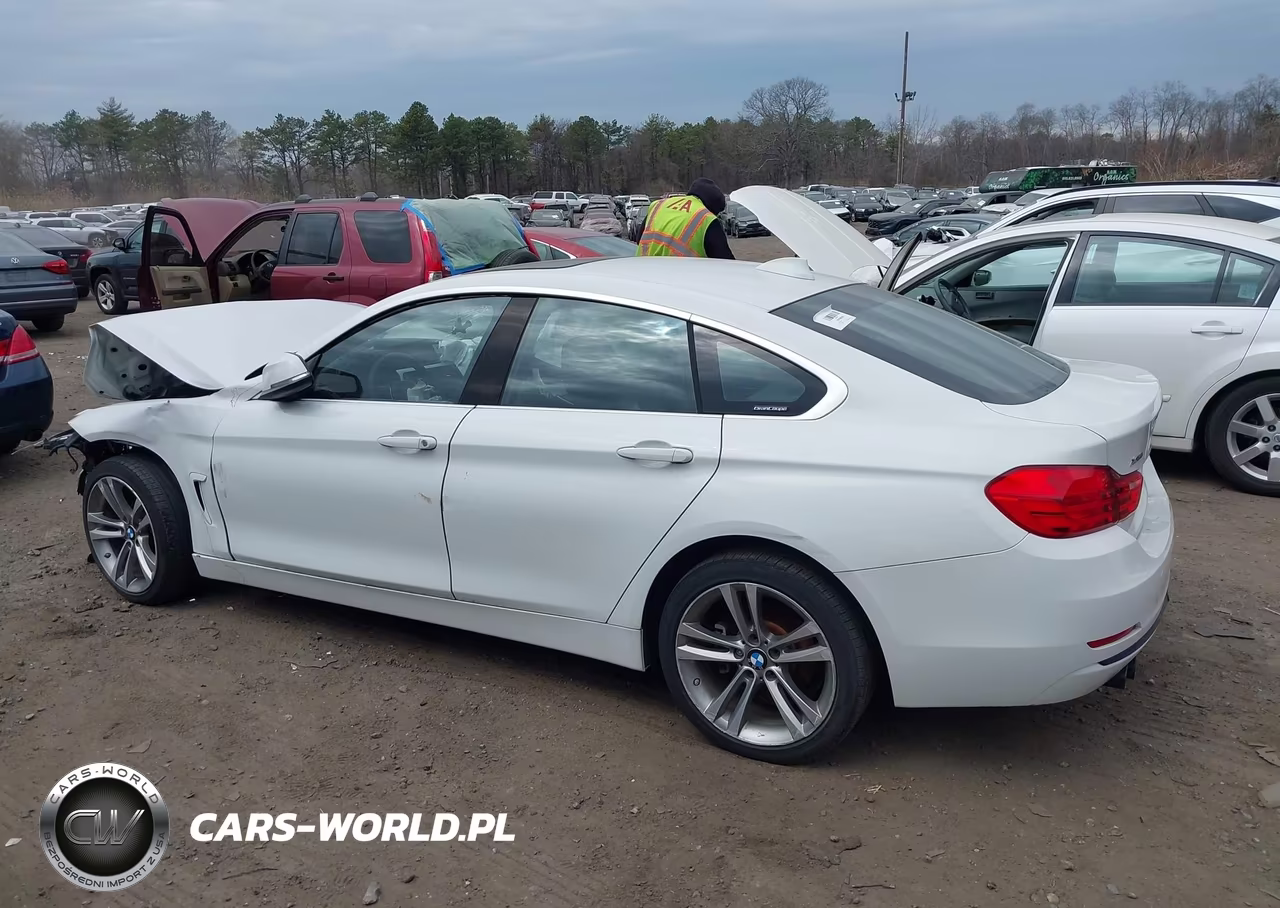 2017 BMW 430I Gran Coupe xDrive VIN:WBA4F9C39HG812908 - 14