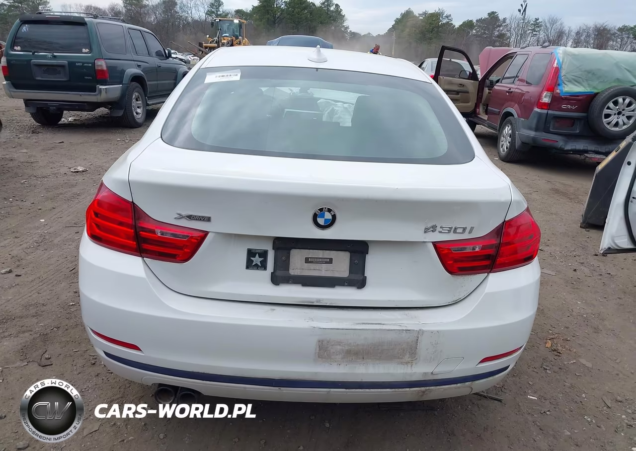 2017 BMW 430I Gran Coupe xDrive VIN:WBA4F9C39HG812908 - 16
