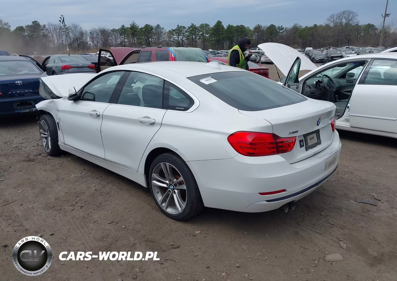 2017 BMW 430I Gran Coupe xDrive VIN:WBA4F9C39HG812908 - 3