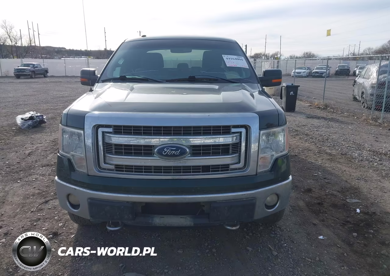 2013 Ford F-150 Xlt VIN:1FTFX1EF3DFC30238 - 12