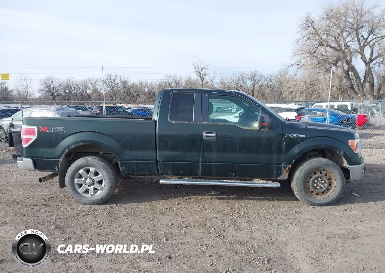 2013 Ford F-150 Xlt VIN:1FTFX1EF3DFC30238 - 13