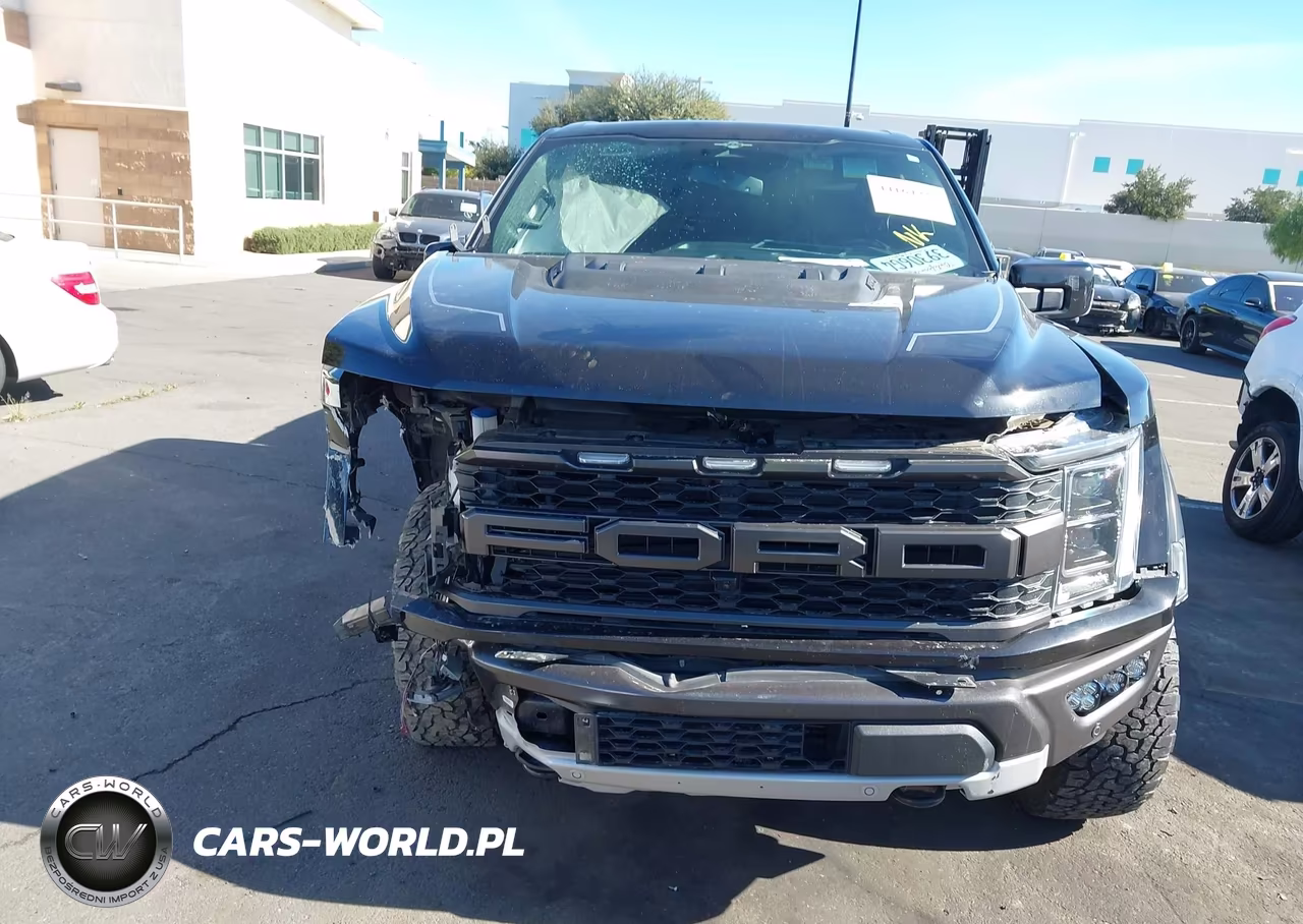 2023 Ford F-150 Raptor VIN:1FTFW1RGXPFA44173 - 12
