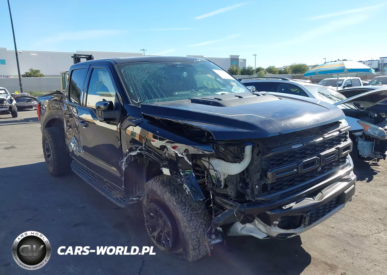 2023 Ford F-150 Raptor VIN:1FTFW1RGXPFA44173 - 13