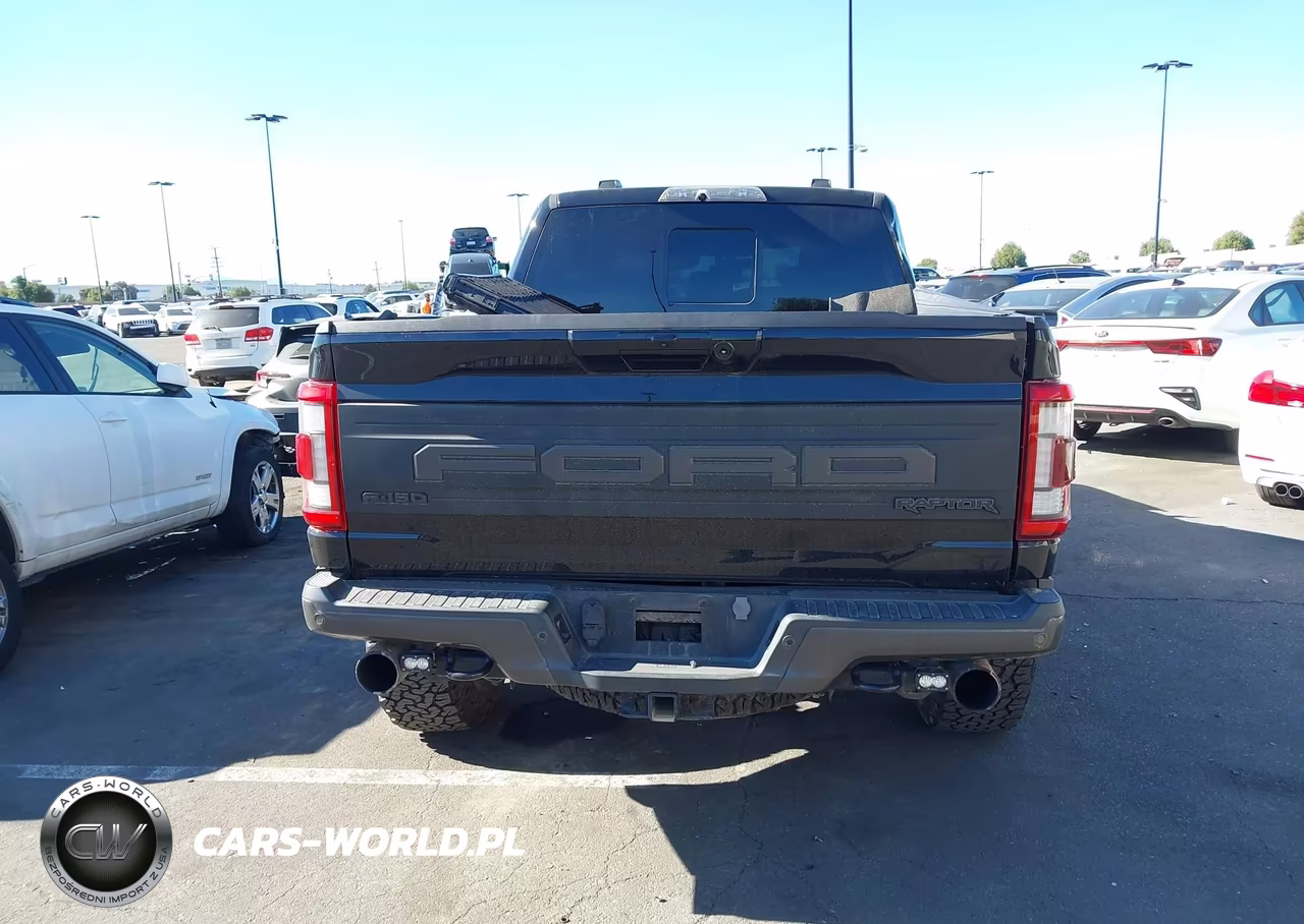 2023 Ford F-150 Raptor VIN:1FTFW1RGXPFA44173 - 16