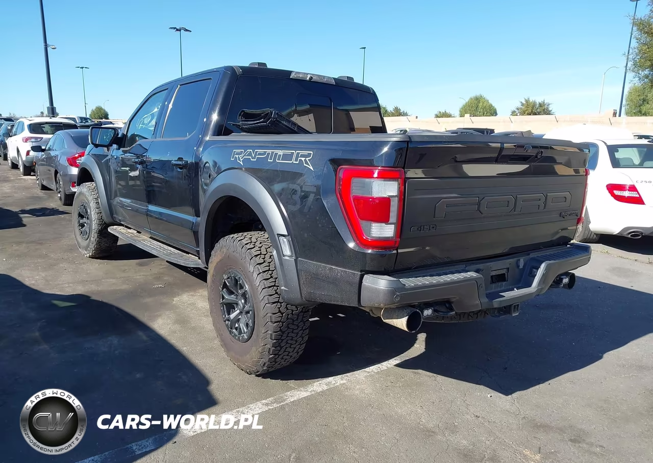 2023 Ford F-150 Raptor VIN:1FTFW1RGXPFA44173 - 3