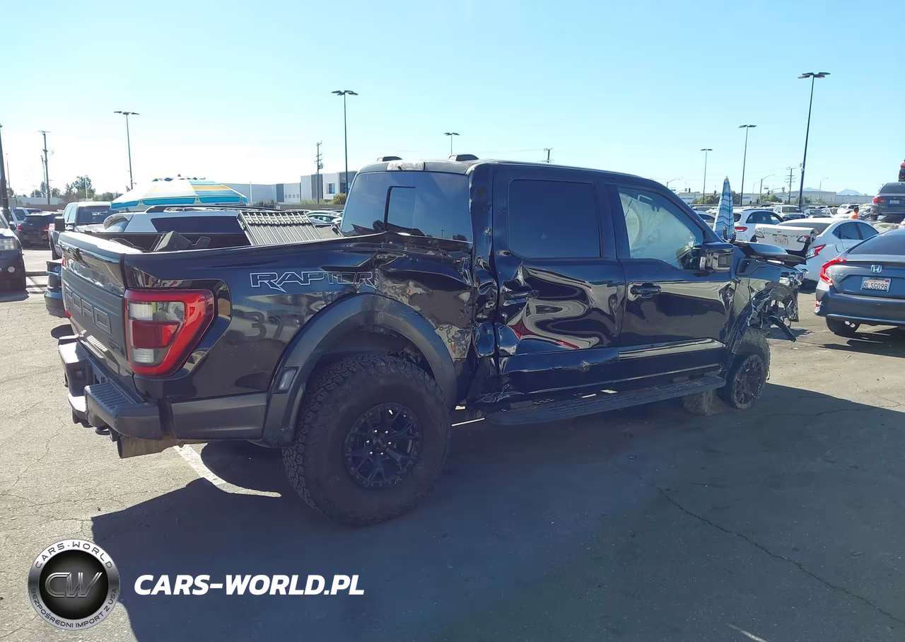 2023 Ford F-150 Raptor VIN:1FTFW1RGXPFA44173 - 6