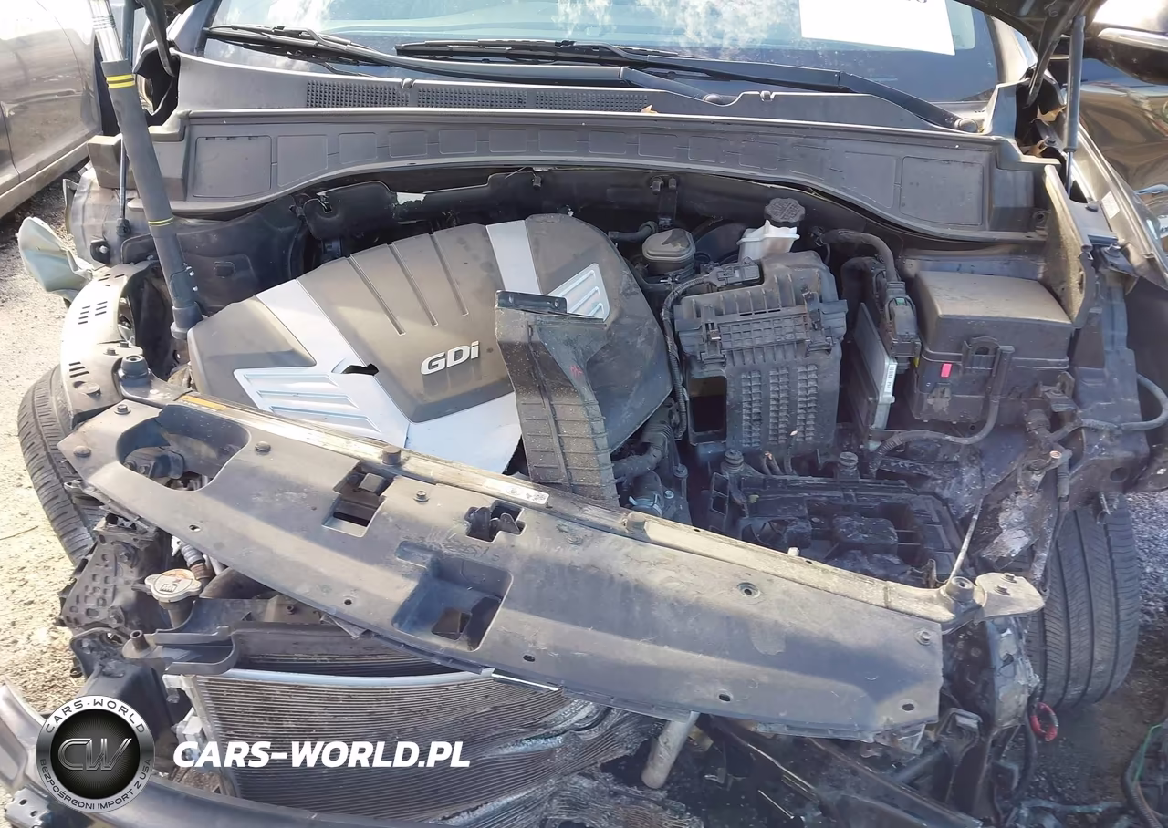 2019 Hyundai Santa Fe Xl Limited Ultimate VIN:KM8SRDHF7KU305811 - 10