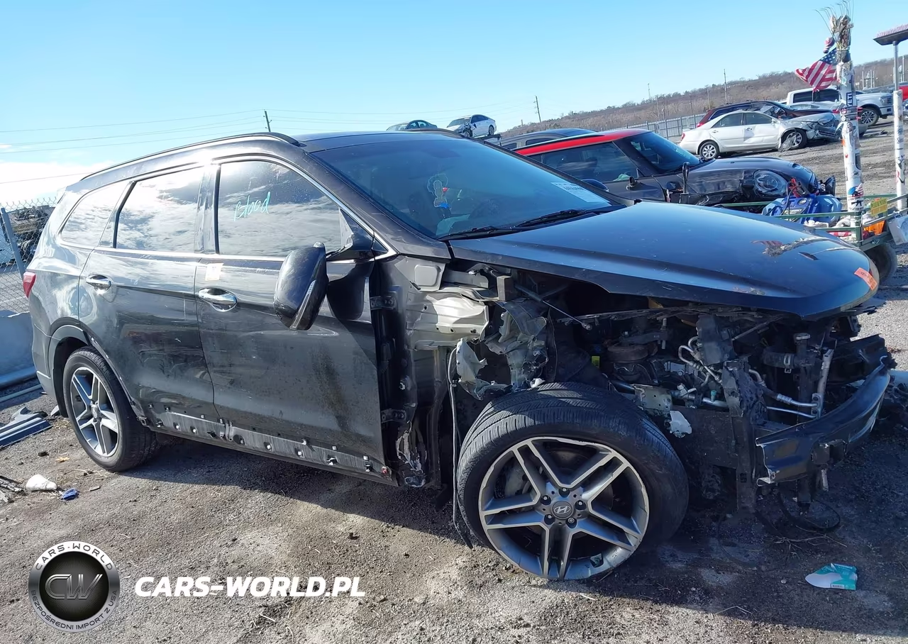 2019 Hyundai Santa Fe Xl Limited Ultimate VIN:KM8SRDHF7KU305811 - 13