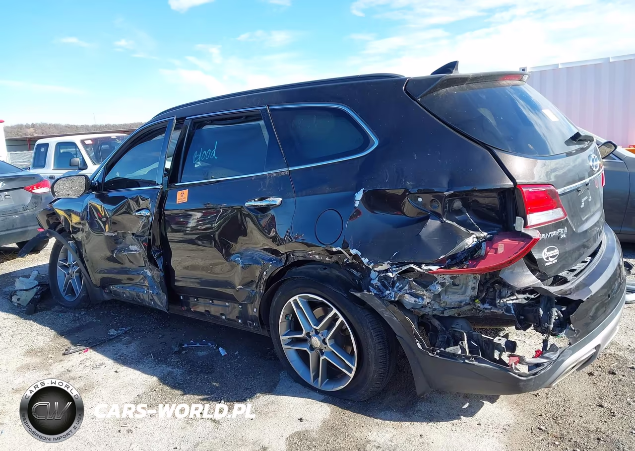 2019 Hyundai Santa Fe Xl Limited Ultimate VIN:KM8SRDHF7KU305811 - 14