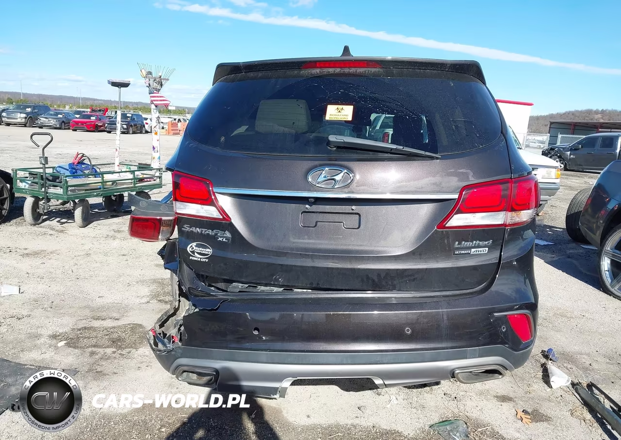 2019 Hyundai Santa Fe Xl Limited Ultimate VIN:KM8SRDHF7KU305811 - 16