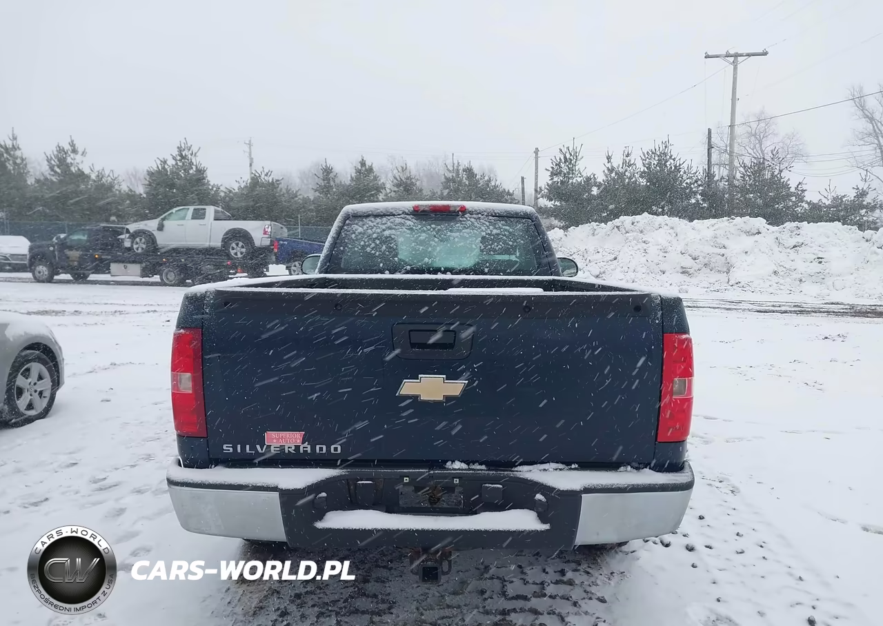 2008 Chevrolet Silverado 1500 Work Truck VIN:1GCEC14XX8Z247186 - 17