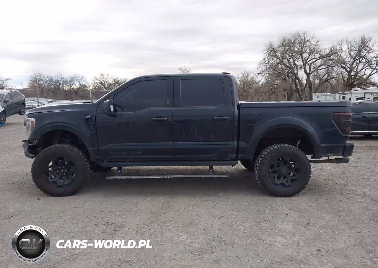 2021 Ford F-150 Lariat VIN:1FTFW1E58MFB10848 - 15