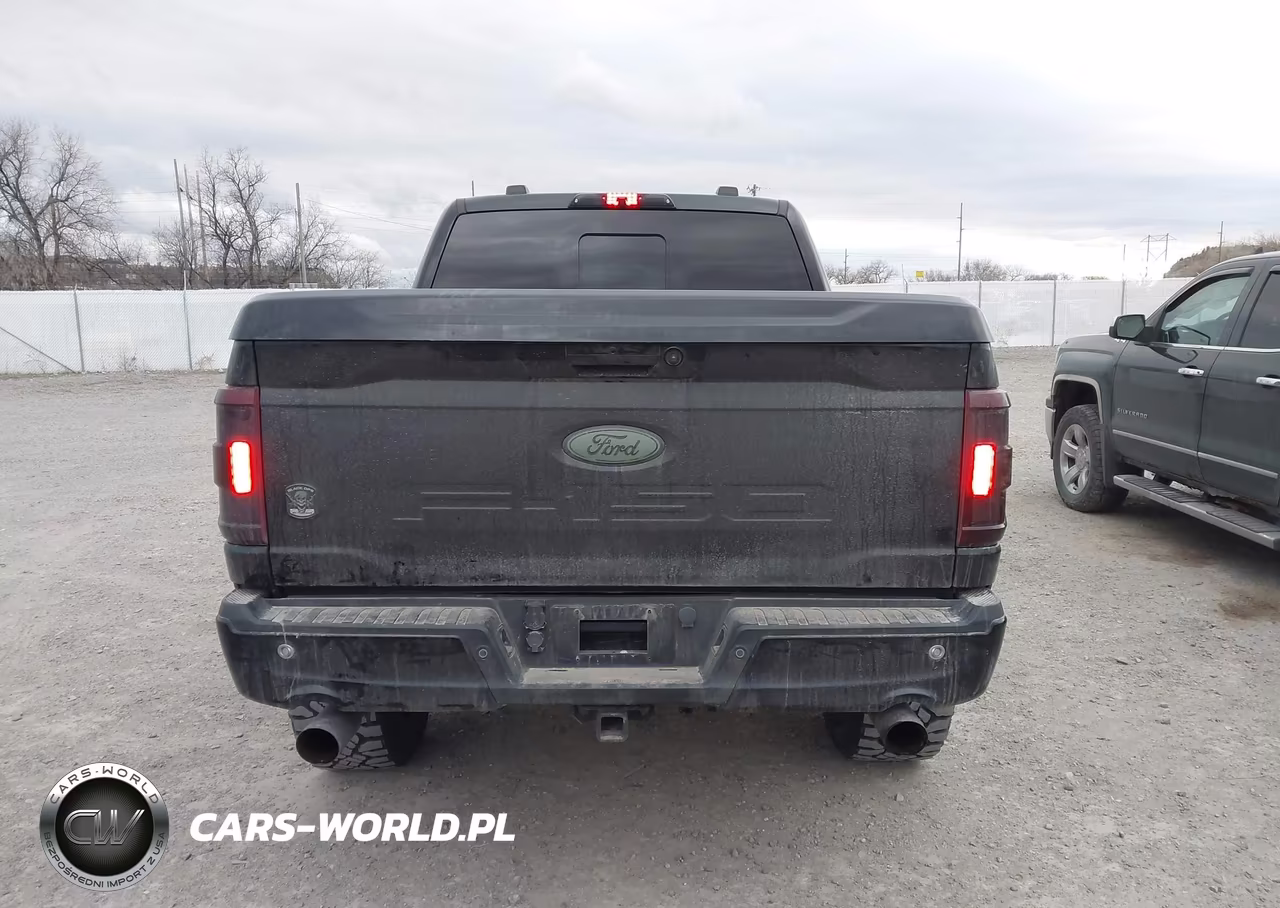 2021 Ford F-150 Lariat VIN:1FTFW1E58MFB10848 - 17