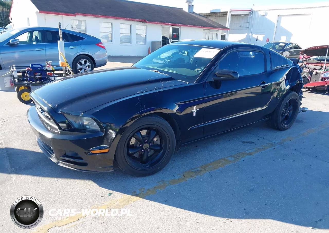 2013 Ford Mustang V6 Premium VIN:1ZVBP8AM1D5266024 - 2